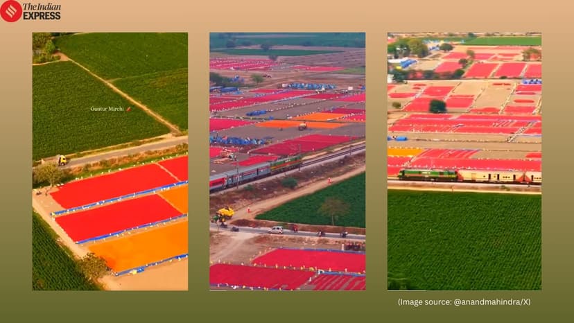 ‘Perfect video to view on Holi’: Anand Mahindra flags Guntur chilli fields as tourism opportunity