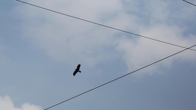 Pune Temperatures Soar to 37°C as Anticyclone Hovers