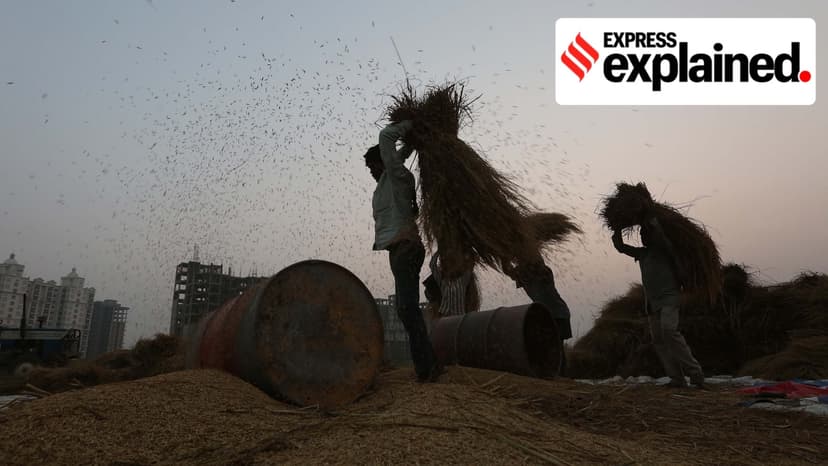 War in West Asia: Why basmati rice exporters from Punjab and Haryana are in crisis