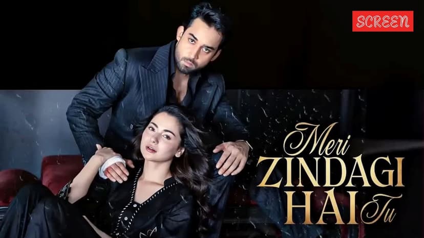 Meri Zindagi Hai Tu Episode 32 out now: Where to watch Hania Aamir-Bilal Abbas show in India
