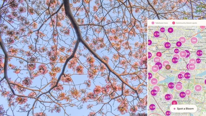 Bengaluru Techie Develops 'Cherry Blossom' Style Tree Tracker