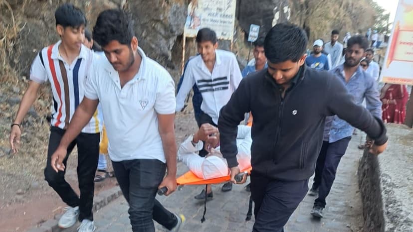 25 injured after swarm of bees attacks visitors at Sinhagad Fort