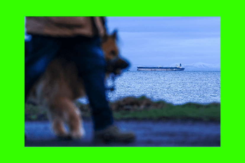 Think Russian oil will calm the Iran conflict’s supply panic? Here’s what the math reveals.