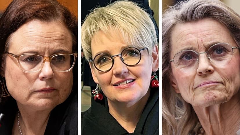 Finnish Parliament Debates Opening Alko Stores on Sundays