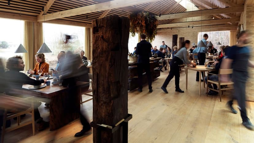 Ravintolat | Ravintola Noman perustajaa syytetään väkivallasta ja työntekijöiden nöyryyttämisestä