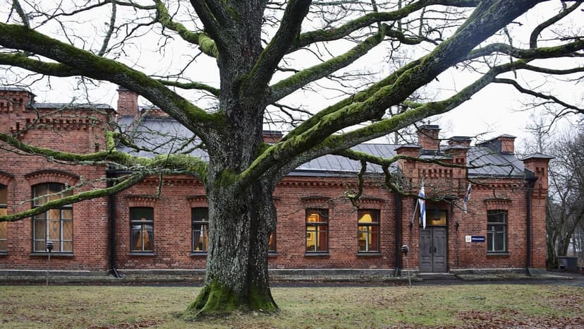 NATO Allies Consider 'NATO Clubs' for International Troops in Northern Finland