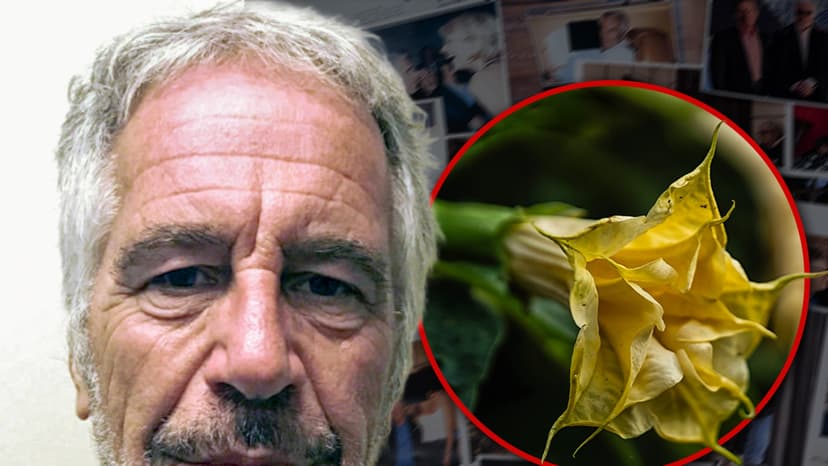 Jeffrey Epstein Emails Refer to Toxic 'Zombie Drug' Plants He Kept