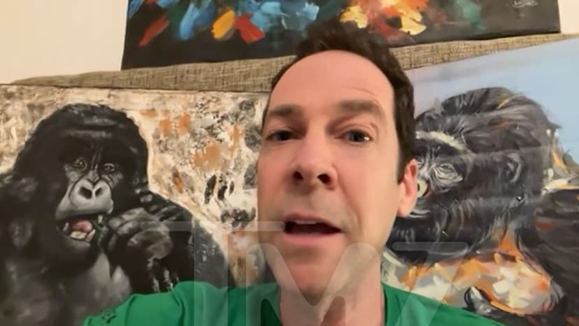 Viral Monkey Named Punch Needs a Real Mom to Love Him, Expert Says