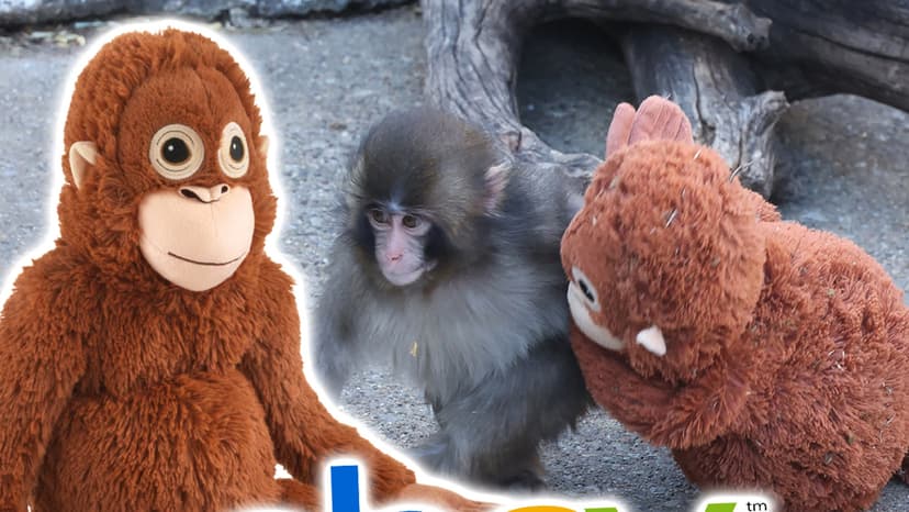 Viral Stuffed IKEA Monkey Sells for Hundreds on eBay