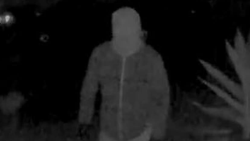 Nancy Guthrie Kidnapper Still Photo Did Not Produce Any Significant Leads