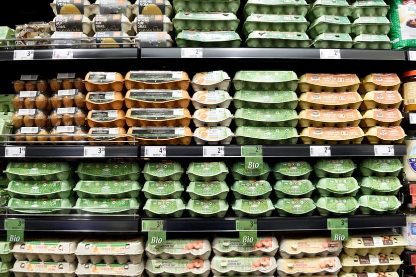 Austrian egg market strained but Easter supply secured despite bird flu