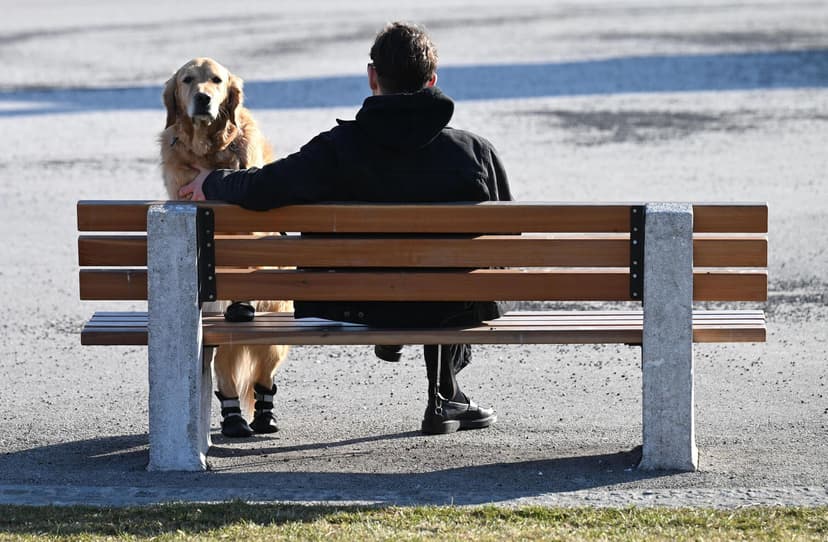 Weather Forecast: Changeable and Cooler Temperatures Expected