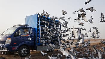 Photo Gallery: Wings Over the Desert