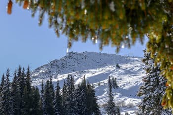 Sunny Weather Expected in Bulgaria, with Local Rain by Evening