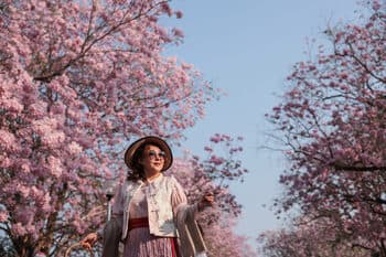 Photo Gallery Captures Pink Sky and Earth in Nakhon Pathom