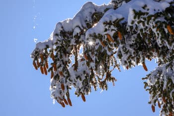 Mostly Sunny Weather Expected Today in Bulgaria