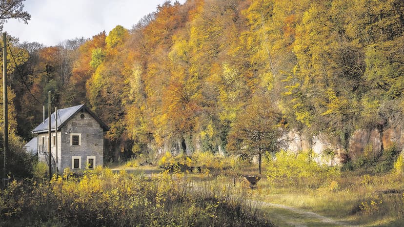 Luxembourg Local News Snippets