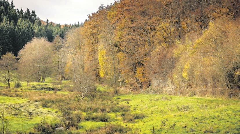 Luxemburger Wort publishes 'Chrëschtnech'