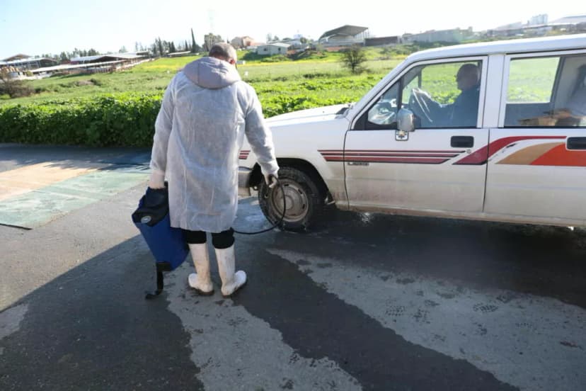 EU Experts Arrive in Cyprus Amid Foot-and-Mouth Disease Intensification