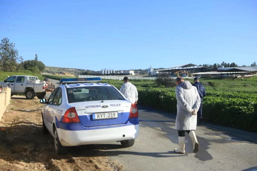 Green Monday event in Voroklini cancelled over foot-and-mouth cases