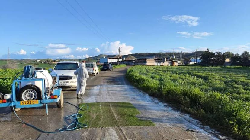 Foot-and-Mouth Disease Concerns Lead to Disinfection Points in Cyprus
