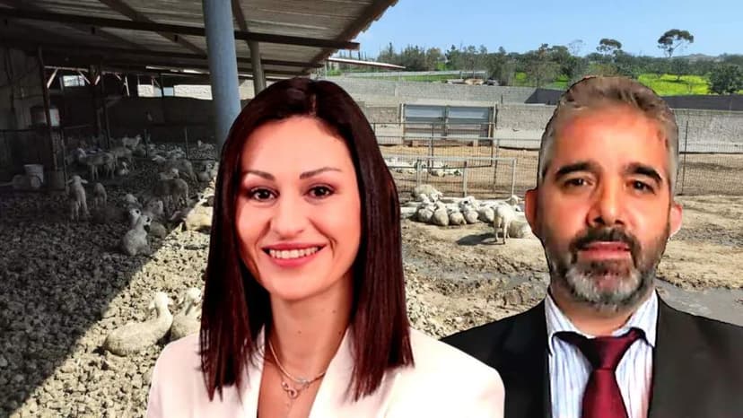 Cyprus Foot-and-Mouth Disease Outbreak Criticism