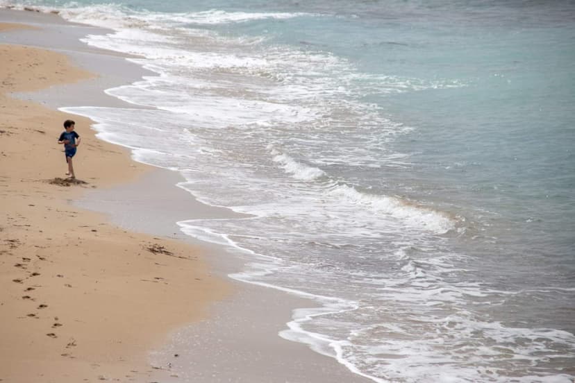 2025 best year ever for Cyprus tourism, minister says