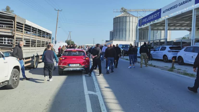 Cattle Breeders Protest Animal Culling in Aradippou, Cyprus
