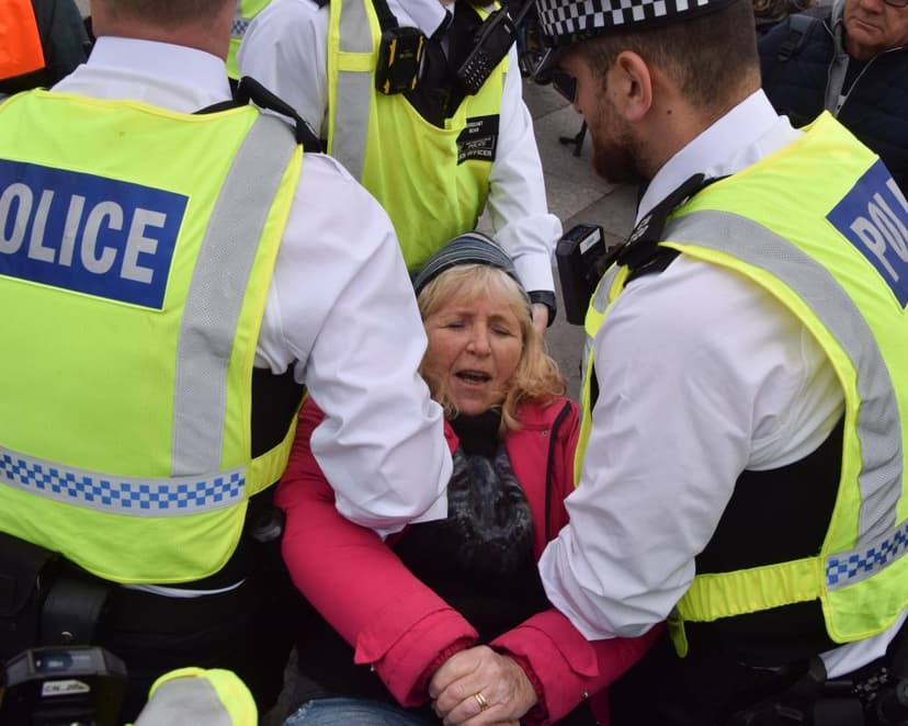 High Court Rules Against Banning Palestine Action Under Terror Laws