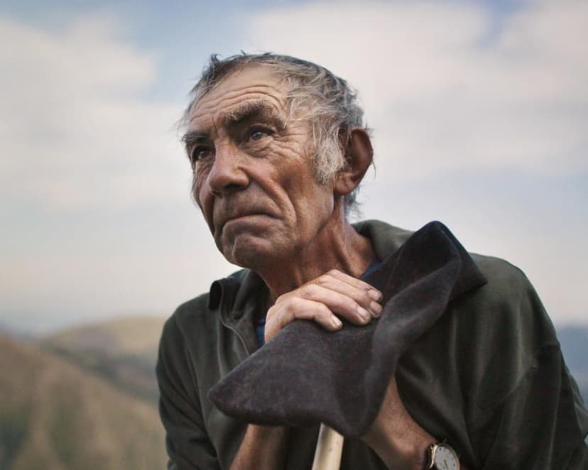 Grim reapers: what has fertilised the rich new wave of neo-rural cinema?