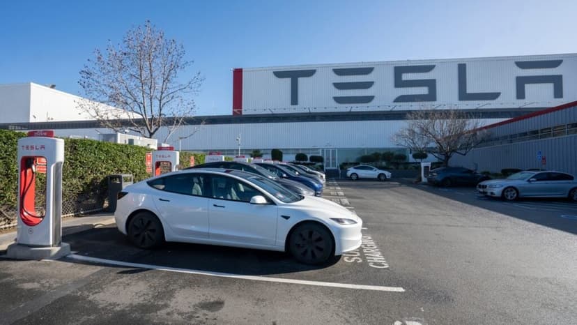 Ross Gerber Comments on Meta Share Buyback and Tesla Stock Compensation