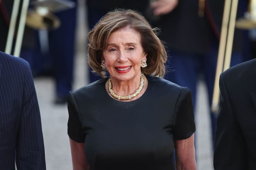 Nancy Pelosi and Brad Gerstner's Shared Stock Investments