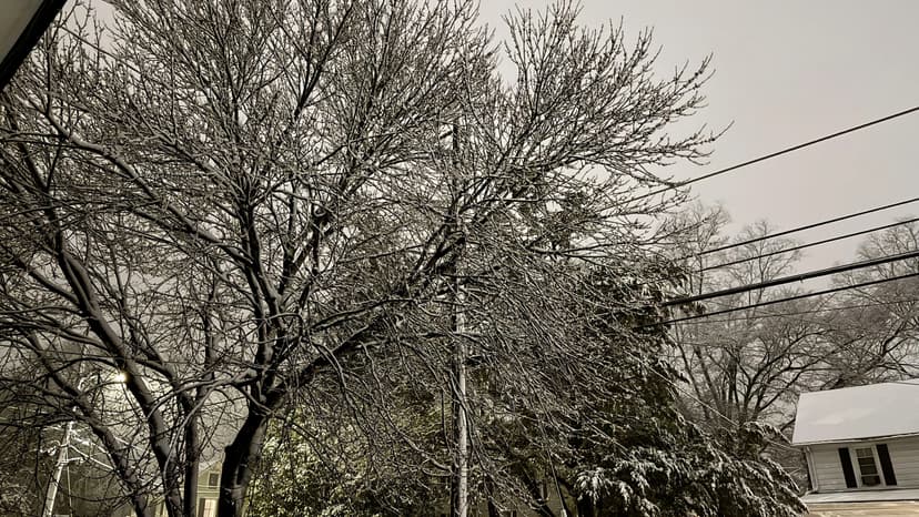 Northeast US Buried Under Snow, Over 5,000 Flights Canceled