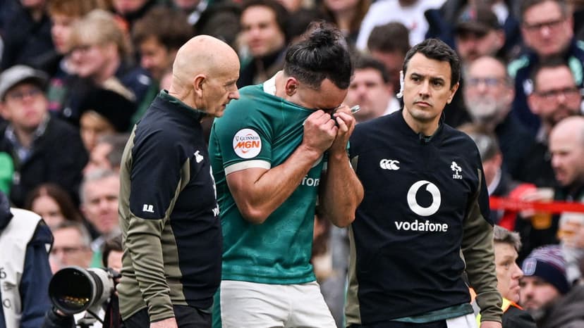 Ireland's Lowe to see specialist about groin injury