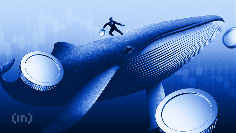 Crypto Whales' Investment Strategies for March 2026