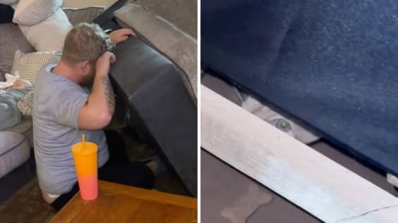 Woman Discovers Strange Noises in Couch