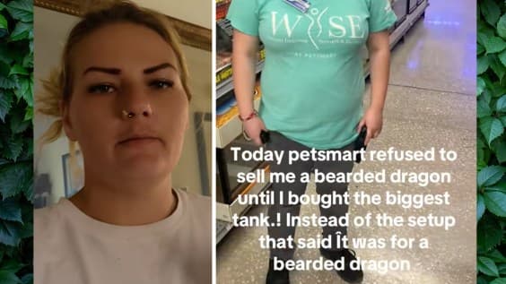 PetSmart Refuses Bearded Dragon Sale Without Proper Tank, Internet Sides with Store