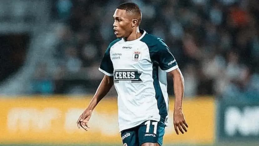 Gift Links nominated for top award in Europe