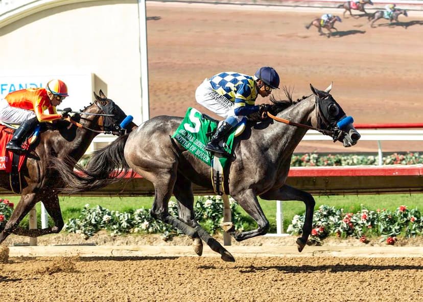 Bottle Of Rouge Looking Pretty For 2026 Kentucky Oaks