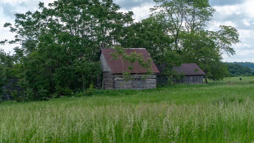 Illinois Hides A Once-Thriving Historic Town, Forgotten By Time And Protected By The National Park Service