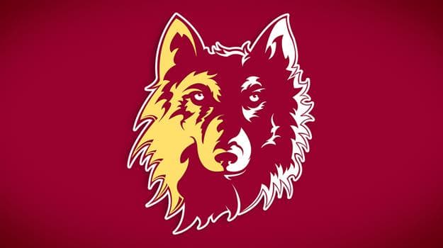 Northern State Wolves Conclude Regular Season with Win