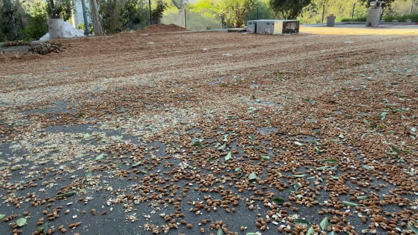 Almonds fall from the sky, damage cars after semi truck fire on San Diego highway