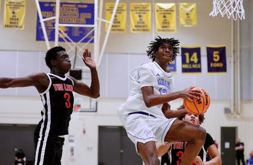 Popoola twins lead Palisades to City Section Open Division boys' basketball title
