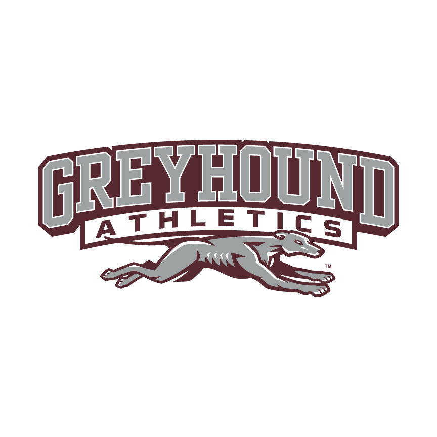 Preps roundup: Eaton Rapids wrestling finishes as Division 2 runner-up