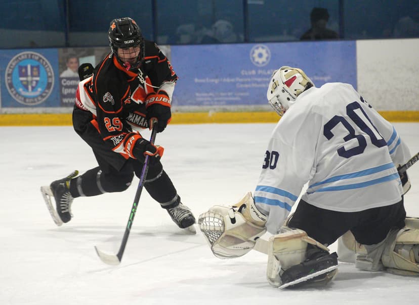 Section 1 High School Hockey Playoff Results (Feb. 19)