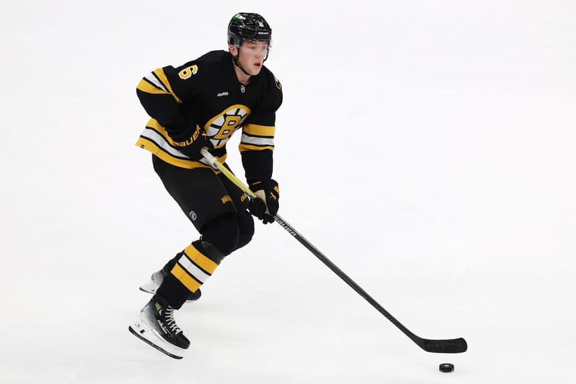 NHL Trade Deadline: What Bruins have to offer in potential deals