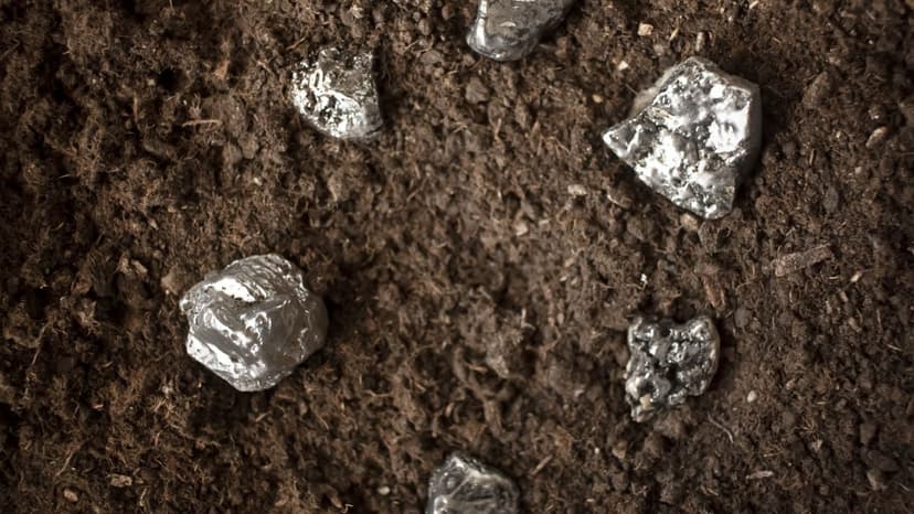 Chilean Cobalt Expands NeoRe Project in Southern Chile