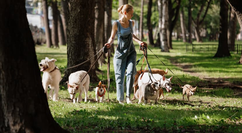 US Workers Rely on Second Incomes Amid Economic Pressures