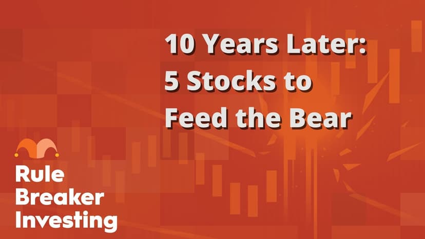 Stocks to Consider for a Bear Market