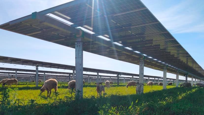 HELLENiQ ENERGY Launches First Solar Parks in Romania